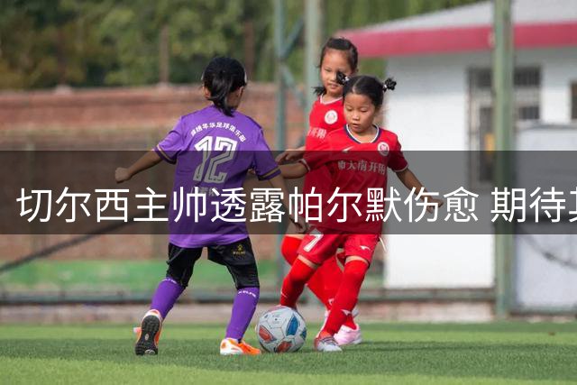 切尔西主帅透露帕尔默伤愈 期待其新赛季强势回归